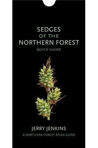 Sedges of the Northern Forest