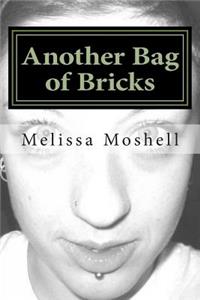 Another Bag of Bricks