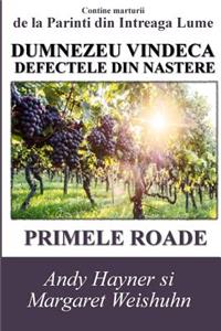 Dumnezeu Vindeca Defectele Din Nastere