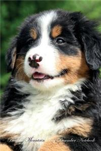 Bernese Mountain Dog December Notebook Bernese Mountain Dog Record, Log, Diary, Special Memories, To Do List, Academic Notepad, Scrapbook & More