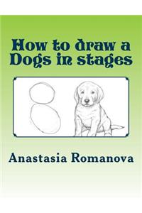 How to draw a Dogs in stages