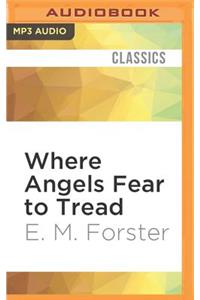 Where Angels Fear to Tread