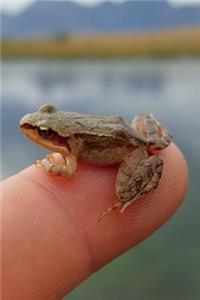 Mountain Lake Frog Journal