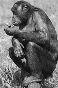 Say Hello to the Bonobo Monkey Journal