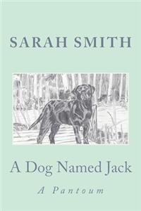 Dog Named Jack