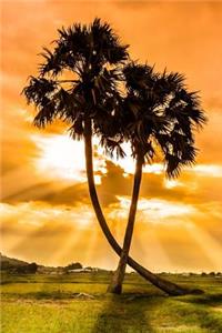 Two Palm Trees and a Glorious Sunset Nature Journal