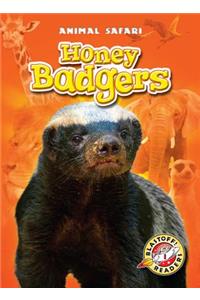 Honey Badgers