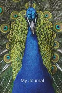 My Journal