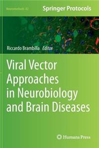 Viral Vector Approaches in Neurobiology and Brain Diseases