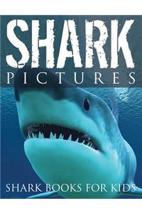 Shark Pictures (Shark Books for Kids)