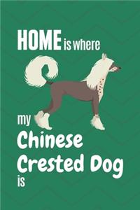 Home is where my Chinese Crested is