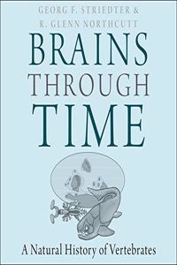 Brains Through Time