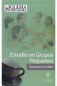 Peacemaking Church Leader Guide Spanish