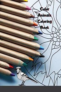Color Animals Coloring Book
