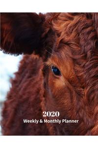 2020 Weekly and Monthly Planner