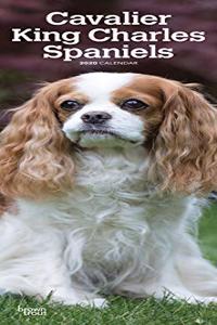 CAVALIER KING CHARLES SPANIELS 2020 SLIM