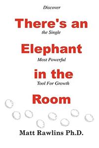 There's an Elephant in the Room