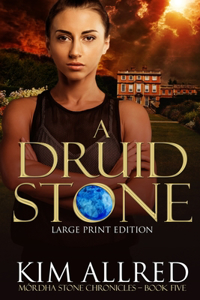 Druid Stone Large Print