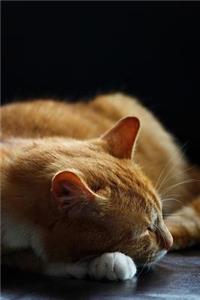 Sleeping Orange Cat Cute Pet Journal