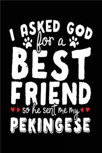 I Asked God For A Best Friend So He Sent Me My Pekingese