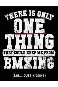 There Is Only One Thing That Could Keep Me From BMXing (Lol... Just Kidding)