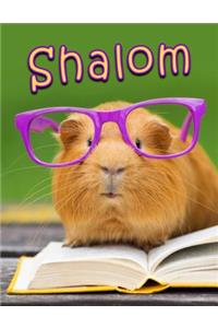 Shalom