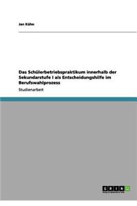 Schülerbetriebspraktikum innerhalb der Sekundarstufe I als Entscheidungshilfe im Berufswahlprozess