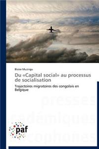 Du Acapital Sociala Au Processus de Socialisation