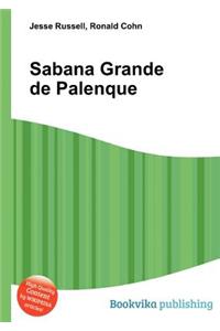 Sabana Grande de Palenque
