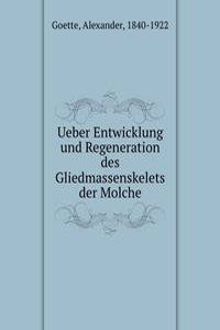 Ueber Entwicklung und Regeneration des Gliedmassenskelets der Molche