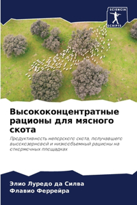 Высококонцентратные рационы для мясного