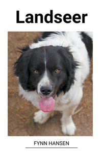 Landseer