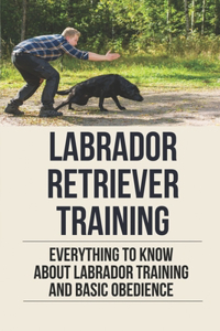 Labrador Retriever Training