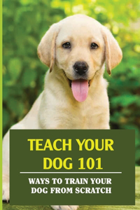 Teach Your Dog 101