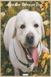 Labrador Retriever Dogs 2021 Wall Calendar