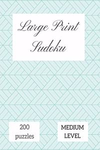 Large Print Sudoku