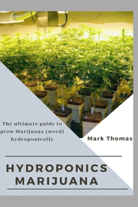 Hydroponics Marijuana