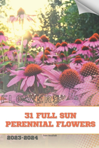 31 Full Sun Perennial Flowers