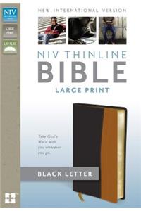 Thinline Bible-NIV-Large Print