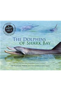 The Dolphins of Shark Bay