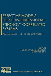 Effective Models for Low-Dimensional Strongly Correlated Systems