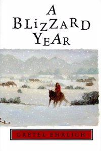 A Blizzard Year