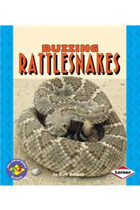 Buzzing Rattlesnakes
