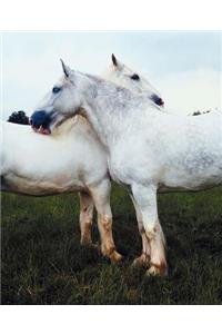 Horse Photo School Composition Book Equine Percherons Grooming Each Other: Horse Photo Equine Covers Composition Books Notebooks (Notebook, Diary, Blank Book)