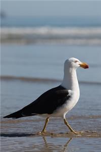 A Seagull Strolling at the Shore Journal