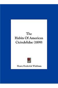 The Habits Of American Cicindelidae (1899)