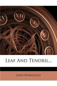 Leaf and Tendril...