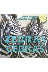 Zebras / Cebras