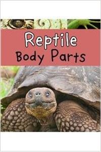 Reptile Body Parts
