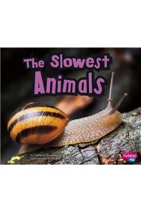 The Slowest Animals